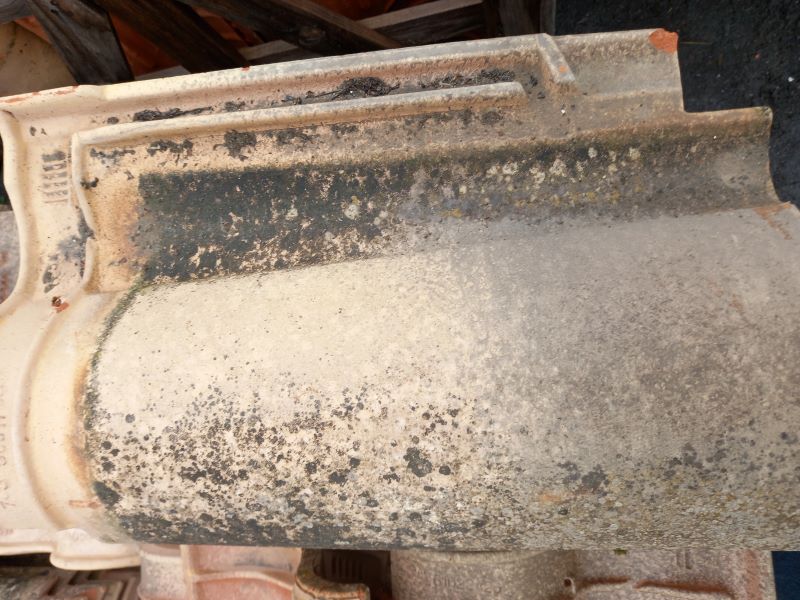 Tuile Languedoc DCL 1DL Terreal