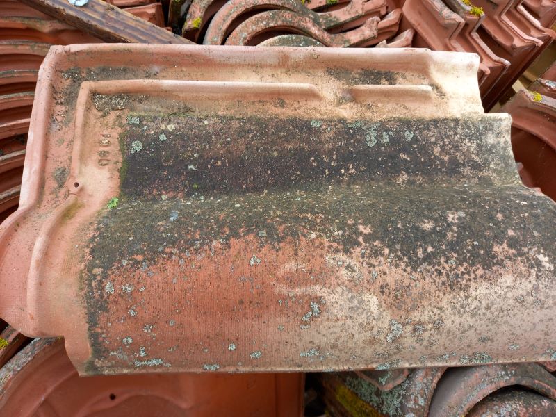 Tuile romane GPS Gelis F31L