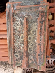 Tuile plate Pierre Sacoman SAINT HENRY Marseille